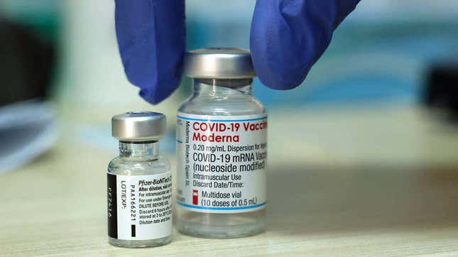 Imagen para el artículo titulado El CEO de Moderna dice que las vacunas probablemente sean menos efectivas contra ómicron