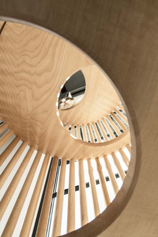 Image for article titled This designer Japanese cat condo costs more than the annual rent of a condo for humans in Tokyo