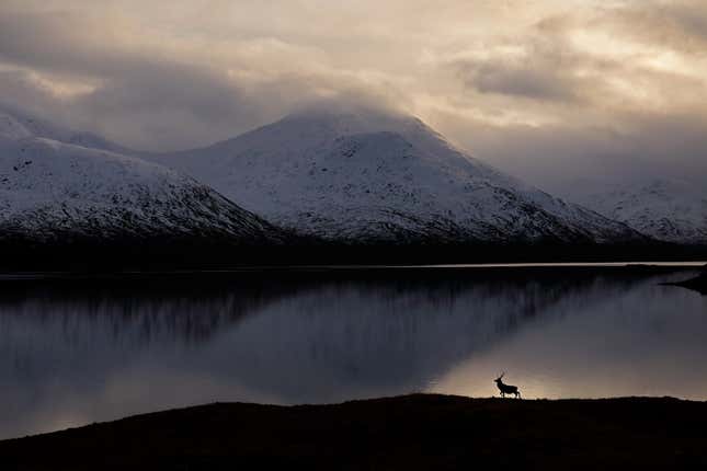 A stag silhouetted by a loch in Scotland's Western Highlands.