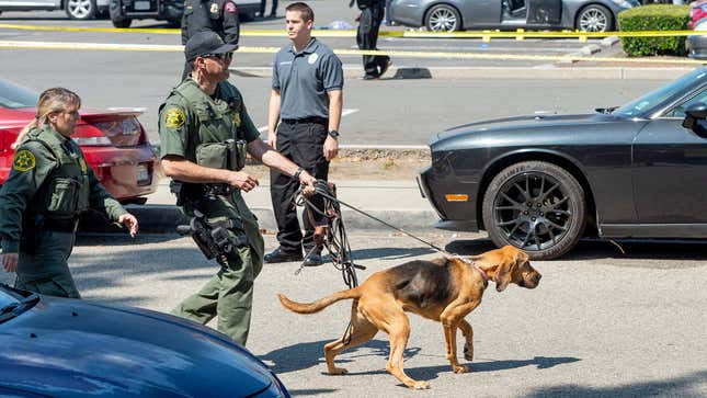 A photo from 2019 shows police officers searching an area with a K9 unit. 