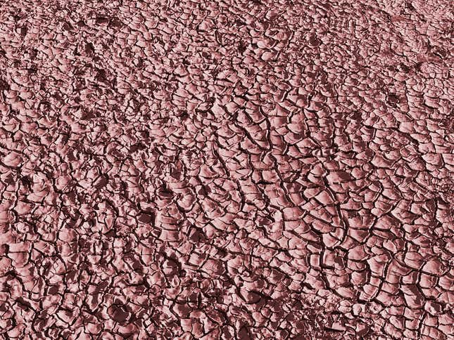 This June 22, 2018 image shows what is left of the cracked mud left behind as the Rio Grande dries near San Antonio, N.M. Federal water managers said a total of nearly 30 miles of the river have dried in central New Mexico due to drought. Managers, residents and farmers are awaiting the promise of summer rains that are expected to develop beginning Thursday, July 5, 2018 and continue into next week.