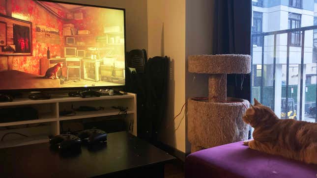 An orange cat watches a human play Stray, a game about an orange cat.