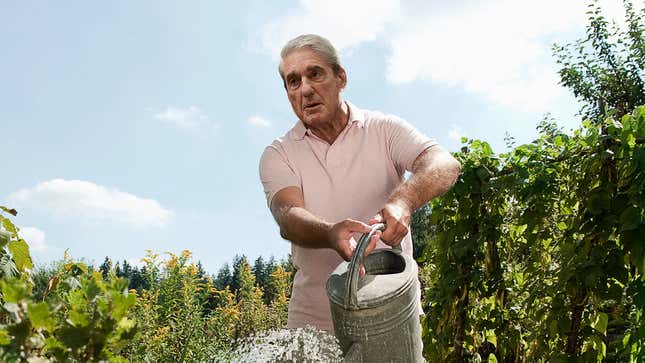 Image for article titled Mueller Suddenly Pieces Together Solution To Russia Collusion Case While Watering Plants