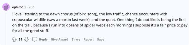 I love listening to the dawn chorus (of bird song), the low traffic, chance encounters with crepuscular wildlife (saw a martin last week), and the quiet. One thing I do not like is being the first on the trail, because I run into dozens of spider webs each morning! I suppose it's a fair price to pay for all the good stuff.