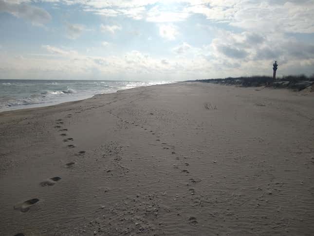 A view of the Black Sea coastline near Prymorske, Ukraine, where numerous dead dolphins have washed ashore amid the ongoing Russian invasion.