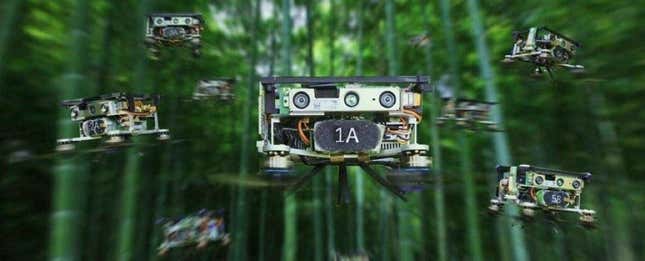 Imagen para el artículo titulado Este enjambre de drones autónomos es capaz de navegar por un denso bosque sin estrellarse