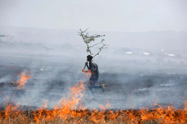A man holds a branch as he ties to extinguish a fire at Lake Nakuru National Park in the Rift Valley in Nakuru, west of Nairobi, 2008.