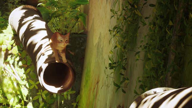 A cat prepares to jump between two pipes in Stray.