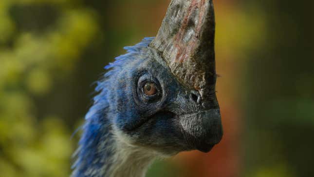 A bright blue Corythoraptor, an ostrich-looking dinosaur.