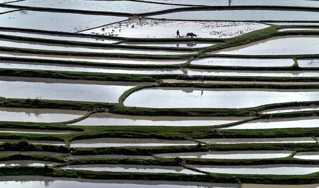 Image for article titled Aerial photos reveal the hypnotic geometry of farming