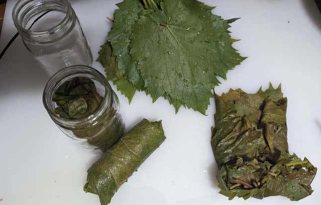 Image for article titled How to Get Free Grape Leaves (and What to Make with Them)
