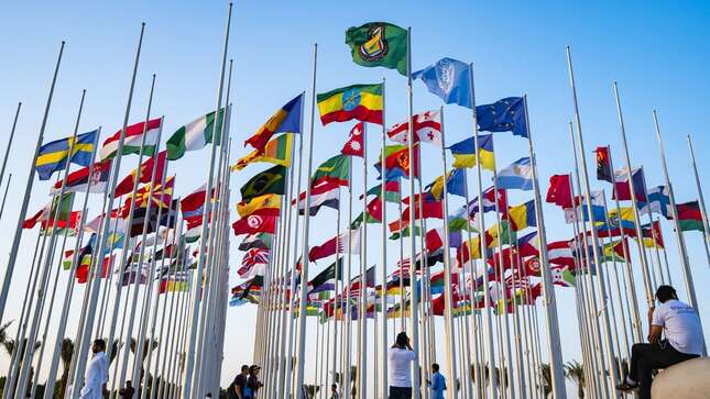 Your 2022 World Cup safe bets