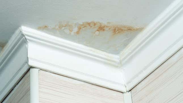 Image for article titled How to Remove Water Stains From Your Walls Without Repainting