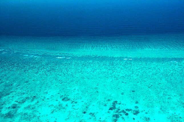 Veliapani reef in Lakshadweep.