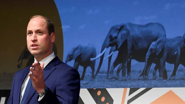 Image for article titled Prince William&#39;s Comments on Population in Africa Reek of Colonialism