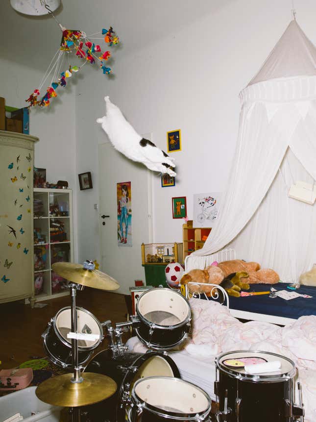 Image for article titled What cats do when we’re not watching