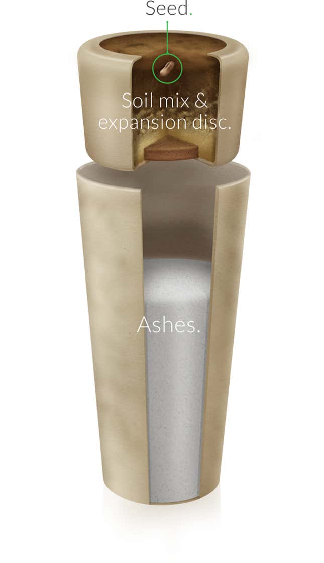 Bios biodegradable urn.