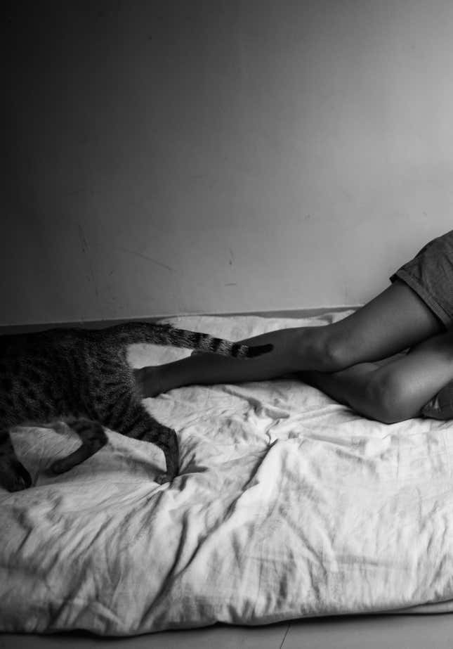 Mariette Valsan and her cats. Nov 9, 2015