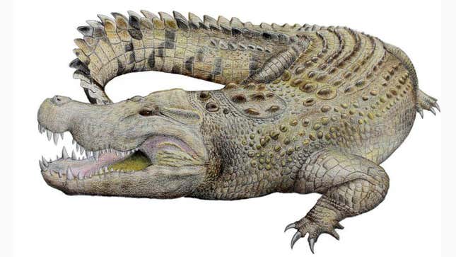Conceptual image of the extinct Baru crocodile from prehistoric Australia. 