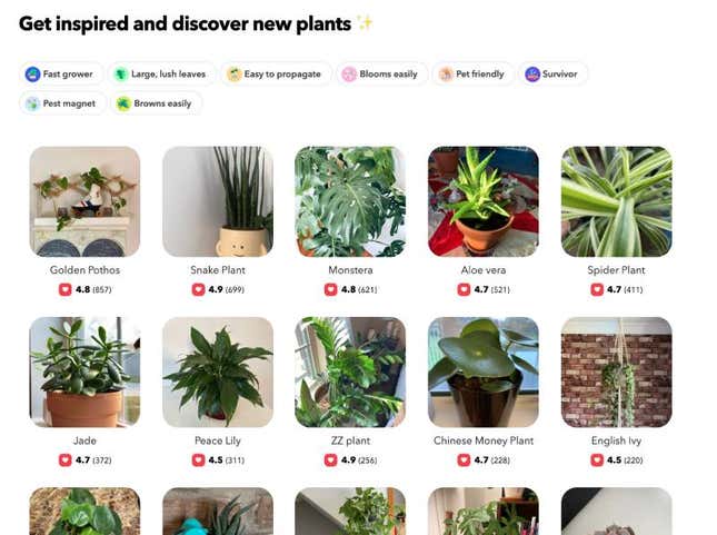 Image for article titled Startup:観葉植物アプリが地球を救う