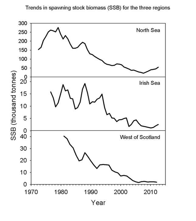 Image for article titled Why it’s probably OK to keep eating cod from the North Sea