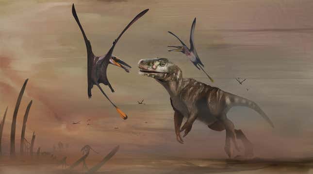 Impression of two Dearc sgiathanach flying around a dinosaur.
