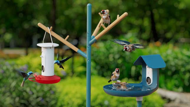 Image for article titled Bird Buddy Is Introducing Camera-Equipped Smart Hummingbird Feeder, Bird Bath