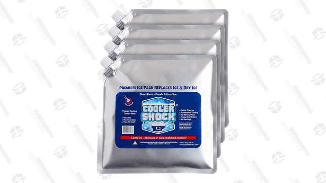 These Cooler Shock Ice Packs come as a set of five, and have 10% off today. 