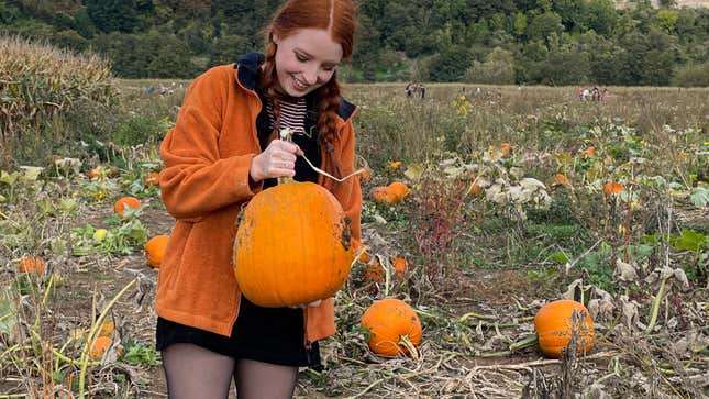 Image for article titled Why do we obsess over pumpkins every fall?