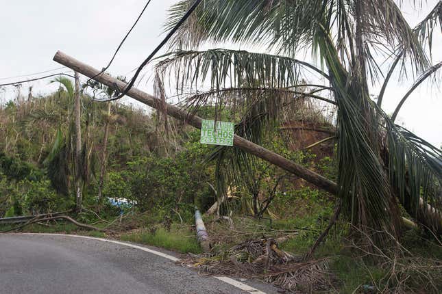 downed electric infrastructure after hurricane maria in puerto rico