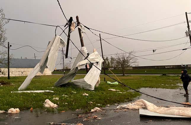 Sheet metal wrapped around utility poles in Arabi, Louisiana.