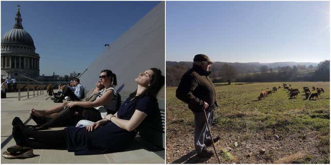 Where would you rather be?