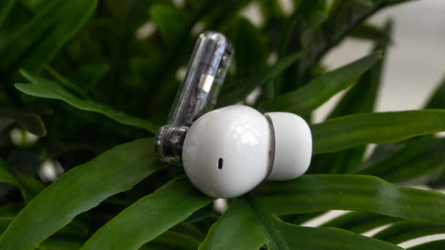 A close-up of a Nothing Ear (2) earbud on top of a green plant.