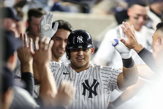 Sep 6, 2023; Bronx, New York, USA;  New York Yankees center fielder Jasson Dominguez (89) is greeted in the dugout after hitting a solo home run in the third inning against the Detroit Tigers at Yankee Stadium.