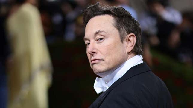 Elon Musk backs Scott Adams racist remarks