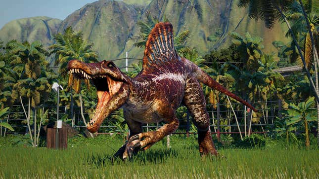 A spinosaurus roars in a tropical environment.