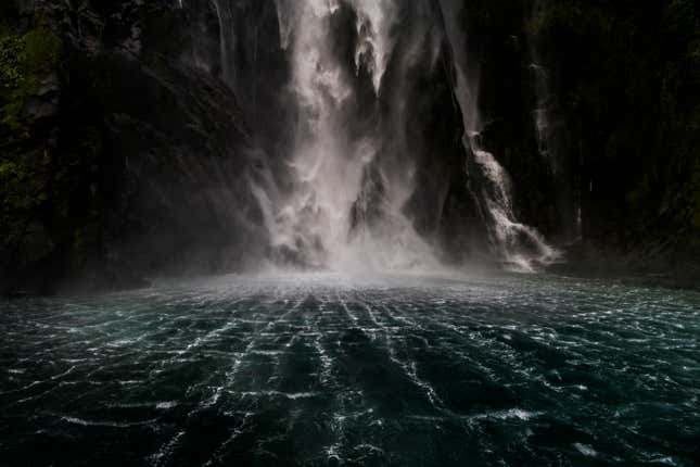 Image for article titled Epic and intimate glimpses of nature from the Sony World Photography Awards