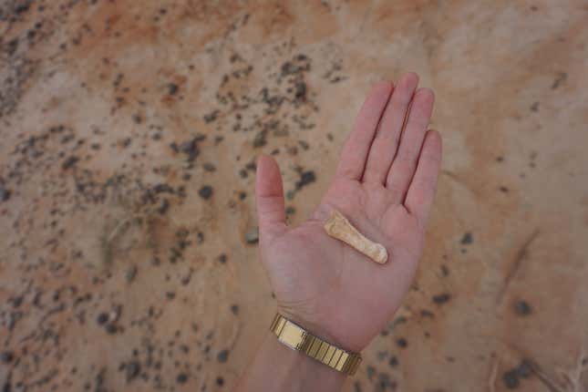 The author holding a bone found in the Ömnögovi province.