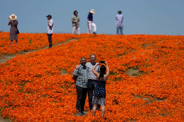 Tourists pose among the poppies in the Antelope Valley California Poppy Reserve near Lancaster, CA on April 10, 2023.