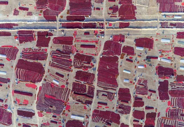 Image for article titled Aerial photos reveal the hypnotic geometry of farming