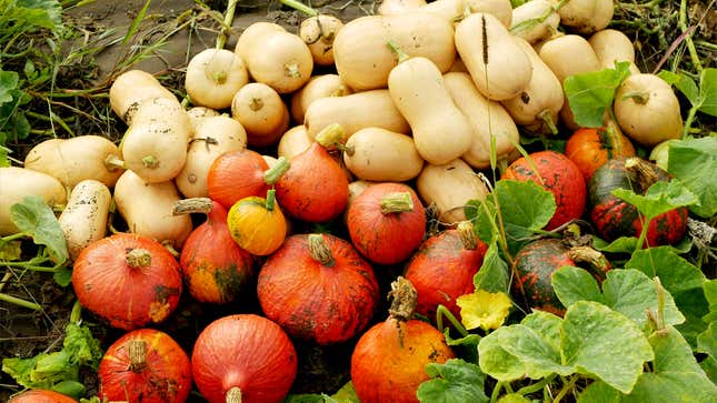 Image for article titled Hungry Nation Could Really Go For Bountiful Harvest Right About Now