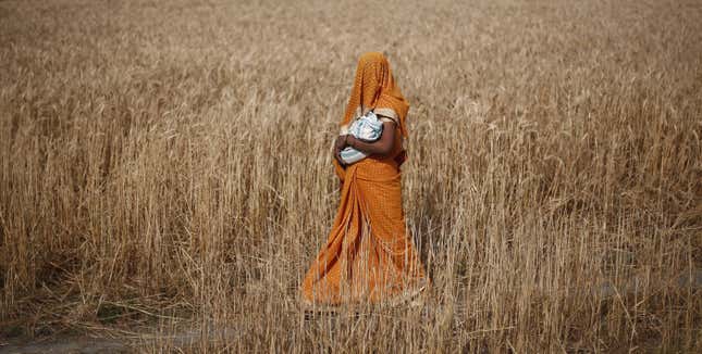 India-Covid-19-environment