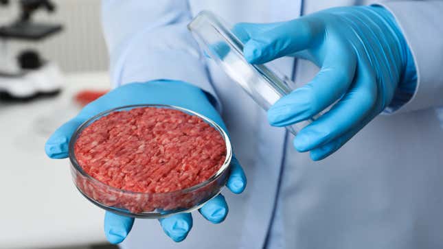 hands holding ground beef in petri dish