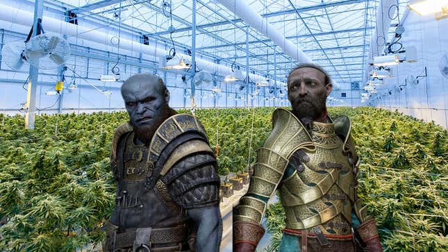 Brok and Sindri from God of War standing in front of a marijuana grow plant.