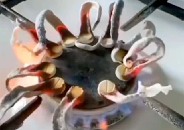 Imagen para el artículo titulado Sí, este vídeo viral de unas pastillas convirtiéndose en tentáculos de ceniza al arder es real