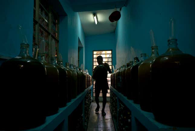 Esteves’ father, also named Orestes, started the winery as an illicit backyard still. Now the “El Canal” winery has become a flourishing business that annually produces thousands of gallons of wine flavored with guava, watercress and beets. (AP Photo/Ramon Espinosa)