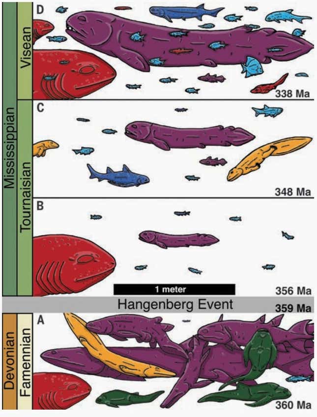 Small vertebrate were increasingly diverse in postextinction ecosystems (illustrations A & B are from Russia; C & D are from Scotland).