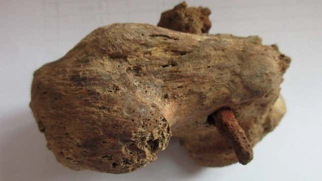 Imagen para el artículo titulado Un antiguo esqueleto encontrado en Inglaterra, segunda evidencia física de la crucifixión romana