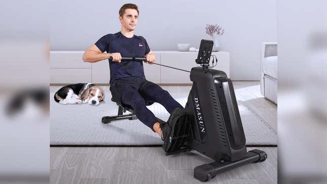 Dmasun Indoor Rowing Machine | $250 | Amazon
