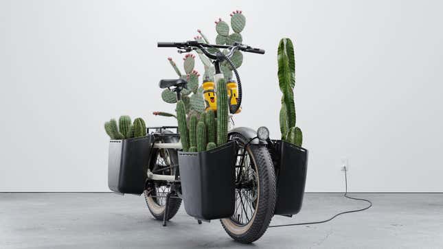 A photo of a Specialized Globe bike laden with large cactus plants. 
